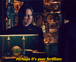 that-insane-shipper-girl:  fandomsswirrelz:  Mr. Gold & Regina ~In Gold’s shop.  I fucking love it when Regina and Rumple get sassy with each other, it’s hilarious. xD 