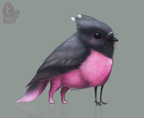 You guys seem to really like my gryphletts, and the good news is, I have a NEVER ENDING SUPPLY OF TH