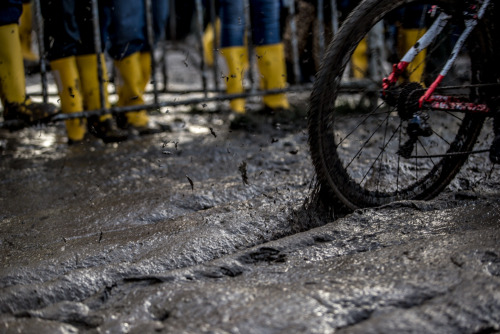 titsandtires:  (via Photo Essay: The many muds of Hoogerheide - VeloNews.com)