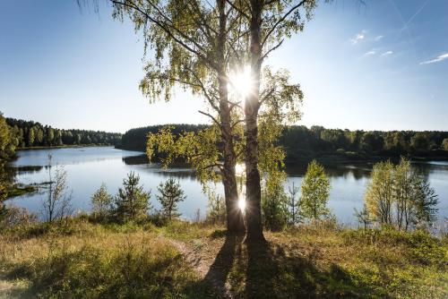 amazinglybeautifulphotography:  Two birches, Siberia [7360x4912][OC] - Author: denisbogatov on reddit