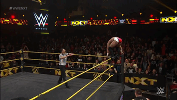 Wrestling Giffer