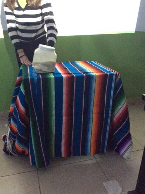 lerred: Mexican high school aesthetic