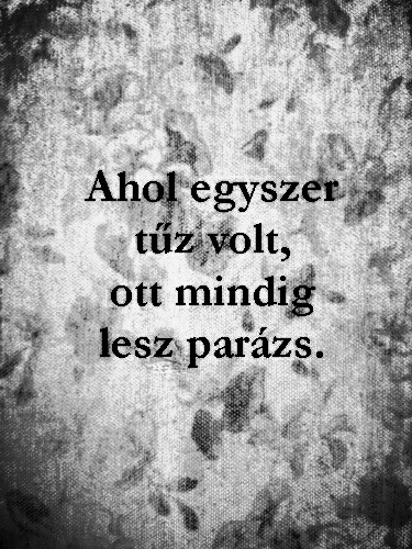 ha-fajnia-kell-fajjon:  Sajna.. 