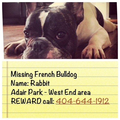 miyabailey:
“Man it’s been a sad day for me. I think someone stole my dog. If you’re in Atlanta. Near Adair Park, West End, Mechanicsville and see a small 30 lbs Frenchie please call or text me: 404-644-1912 I will give a cash REWARD. (at City of...