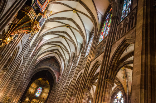 travelingcolors:Strasbourg Cathedral | France (by Federica Gentile)