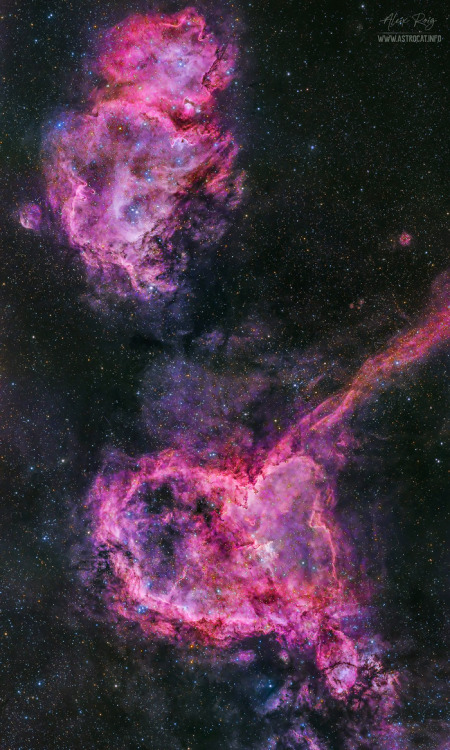spacewonder19:Cosmic heart and soul