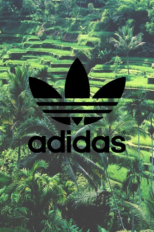 adidas tumblr wallpaper