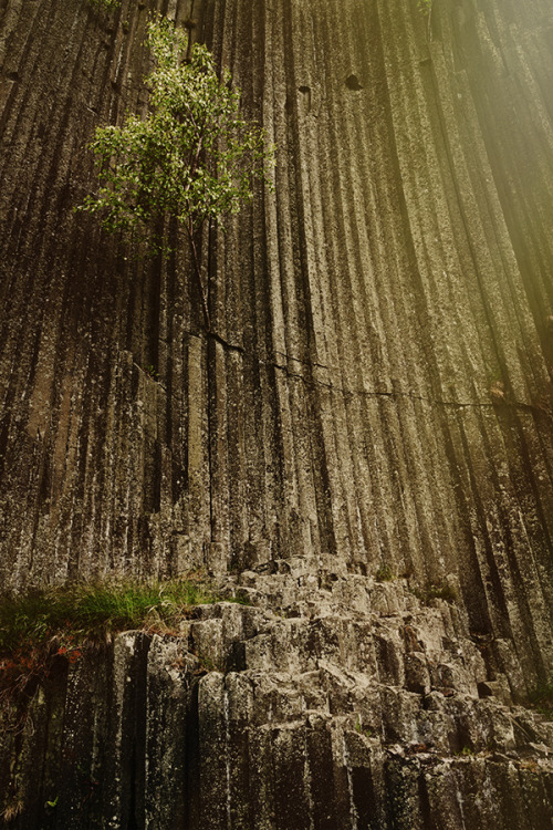 Panská skála is a columnar basalt formation in north central Czech Republic. It might 