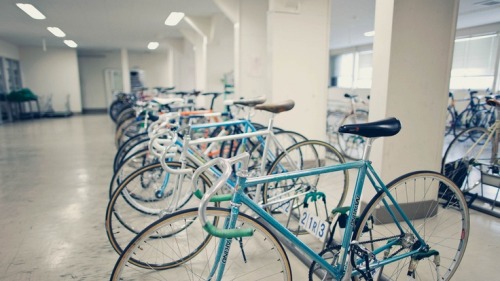 bicyclemonsta: You cant buy happiness, but you can buy a bicycle and thats pretty close. :-)w