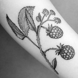 cutelittletattoos:
“Illustrative style blackberries tattoo on the forearm. Tattoo artist: Dino Nemec
”