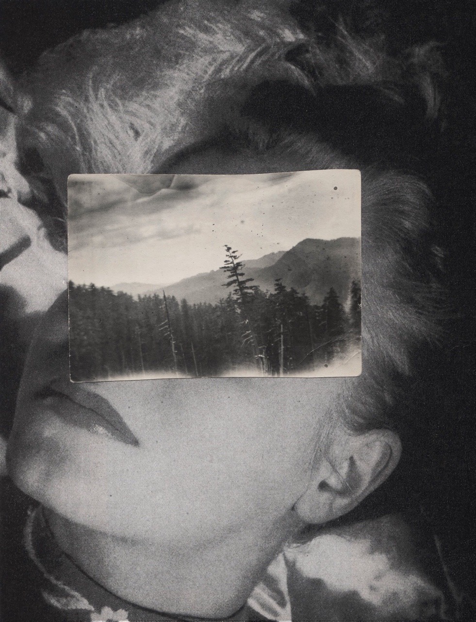 voxprotzik:  8•8•2016 (made with old found photograph)