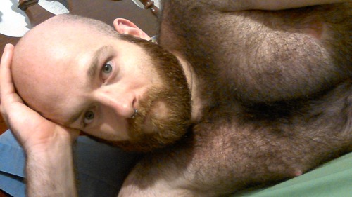 hairychestg:  dicklectictastes:  Procrastinating at homework   http://hairychestg.tumblr.com