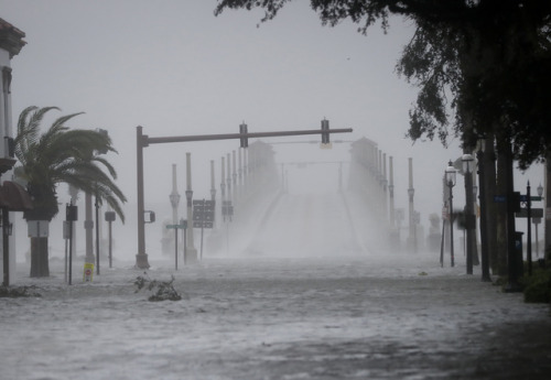 rosenagldky:the-future-now:It’s hurricane season, and the agencies that protect us from deadly storm