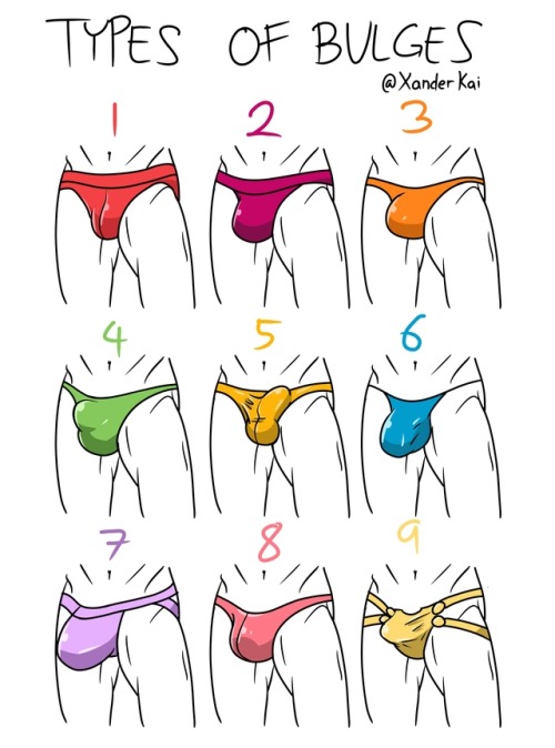 xanderkai: Types of bulges ft. different underwear Which one is your favorite? Truth