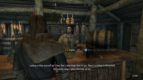 tifaisbatmannow:we can never go back to whiterun im not proud of the thing but i did it 