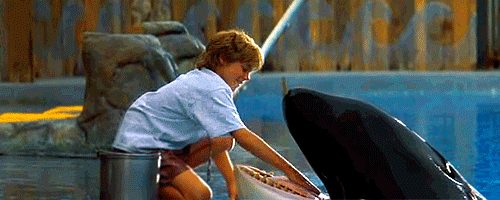 thosewerethe90s:  filmkulte:  Free Willy (1993)  20 years.  twenty years. TWENTY.  how.   Damn. I’m old haha