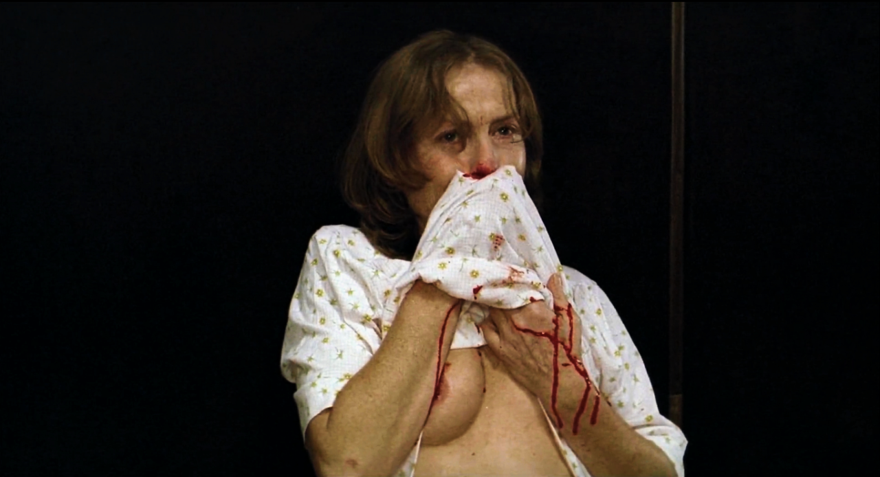 Orange_Fiction — La Pianiste ( The Piano Teacher ) | Michael Haneke...