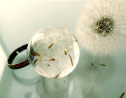 wickedclothes:  Dandelion Ring Inside of