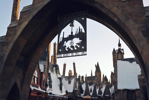 A few details from The Wizarding World of Harry Potter