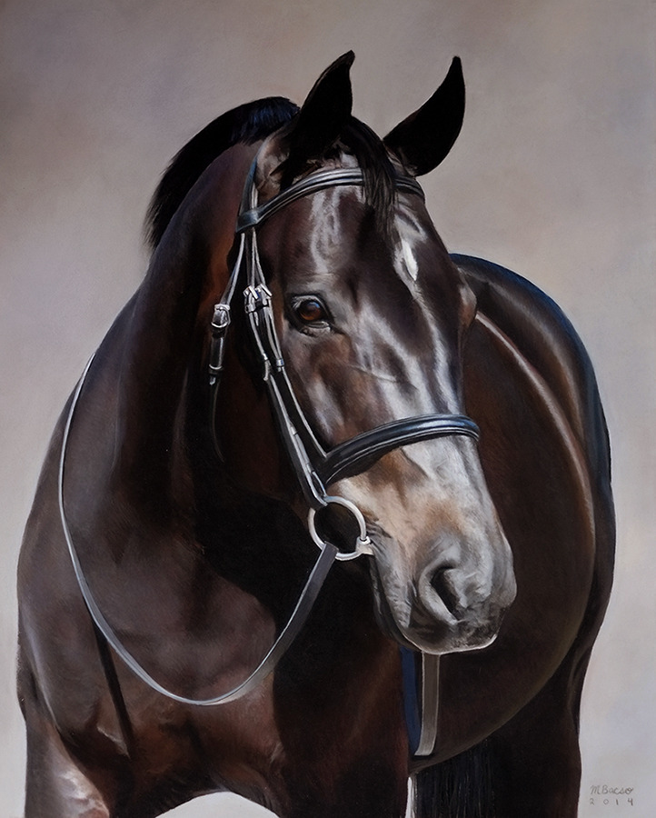 snapshot-equestrian:  The lovely Karissa, drawn in soft pastels!Meghan Bacso Equestrian