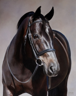 Snapshot-Equestrian:  The Lovely Karissa, Drawn In Soft Pastels!Meghan Bacso Equestrian