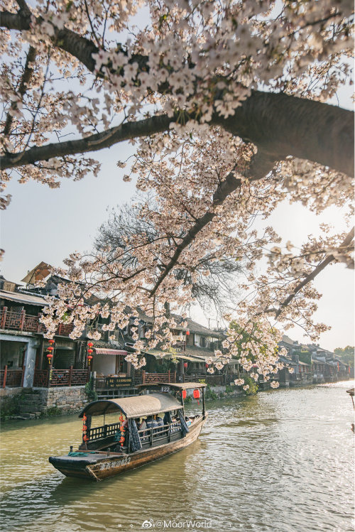 fuckyeahchinesegarden:西塘 xitang, jiaxing, zhejiang province by MoorWorld