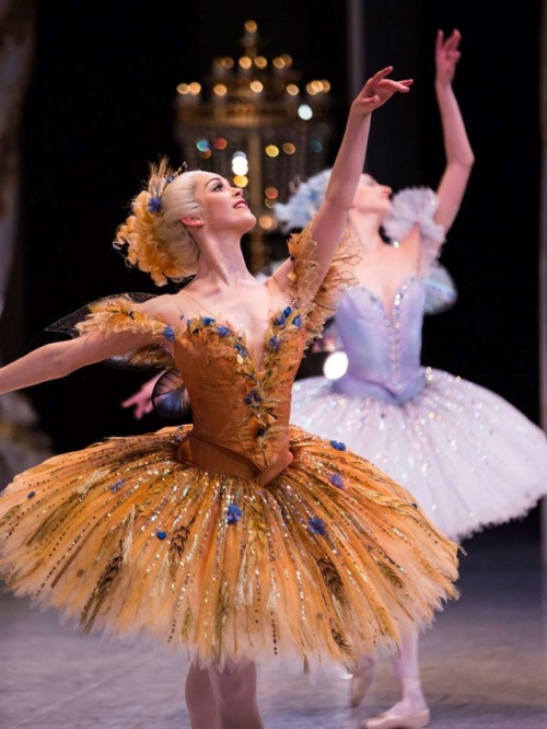 tutu-fangirl: Artists of The Australian Ballet in The Sleeping Beauty. Costumes by Gabriela Tylesova