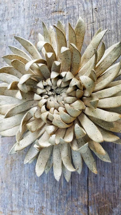 Intricate Succulents Sculptures for Those Who Lack a Green ThumbWe can’t all have a green thumb. But