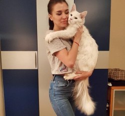 cumbler-tumbler:  zooophagous:  catsbeaversandducks:   Tihon The Giant Cat  “Please, I just want to cuddle all the time.” Photos by kotyiliudi - Via Love Meow   Huge baby  What a big, lovely fella! 