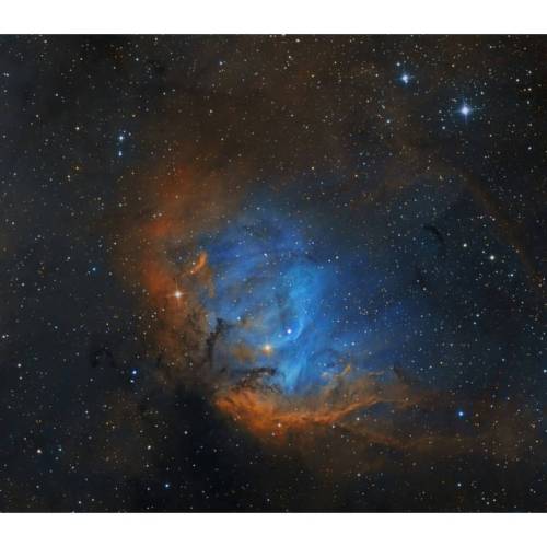 The Tulip in the Swan #nasa #apod #tulip #nebula #constellation #cygnus #theswan #interstellar #gas #dust #stars #universe #galaxy #milkyway #space #science #astronomy