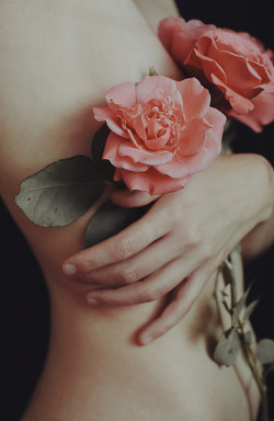 riverofbones:  Flowers for a lover that went away. by *Nishe on Flickr.