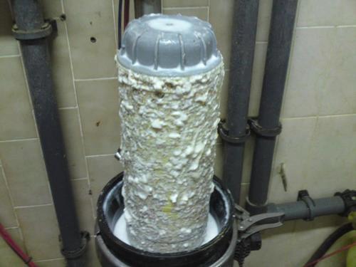 theveganmothership:  This is a milk filter after the milking.This gross stuff is