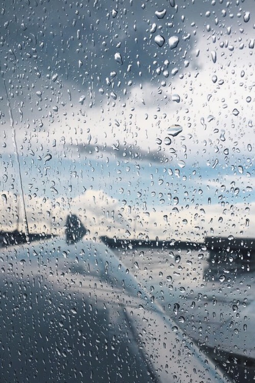 umbrellas-and-raincoats: : @manal1s