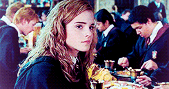 greatserpent:  Get to know me meme - [1/8] Favorite Female Characters:  ↪ Hermione