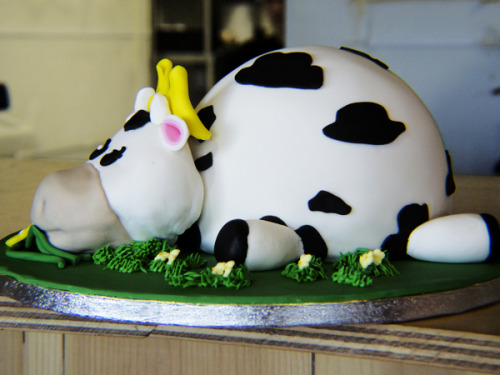 Daisy The Cow Cake