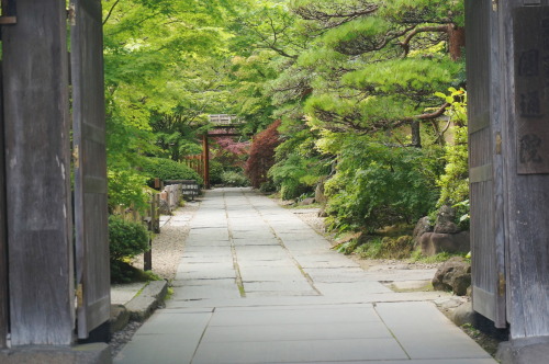 日本三景。素敵な景色とゆったりした時間に癒される。ここ数か月は資格試験の勉強などで忙しくしてました。しばらくゆっくりできそう＆好きな季節がやってきたのでまたどこか写真撮りに行きたいなーと思ってます。2