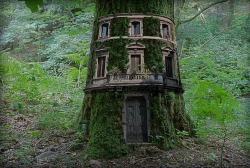 caffeinatedmoments:  (via Tree house) -  Gorgeous.