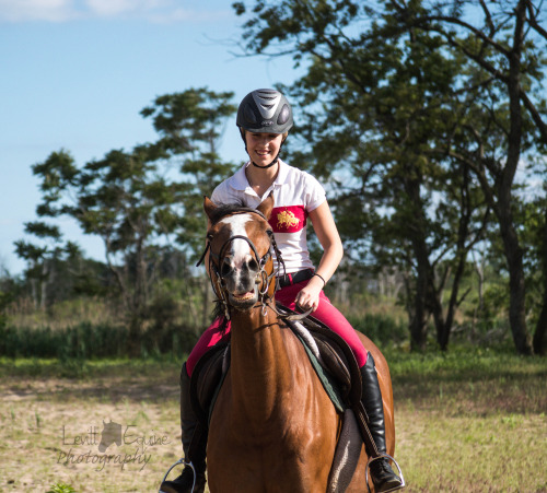 sit2beats: Lama or horse? ⒸLevitt Equine Photography ig: glphotography_ gl—photography.tumblr