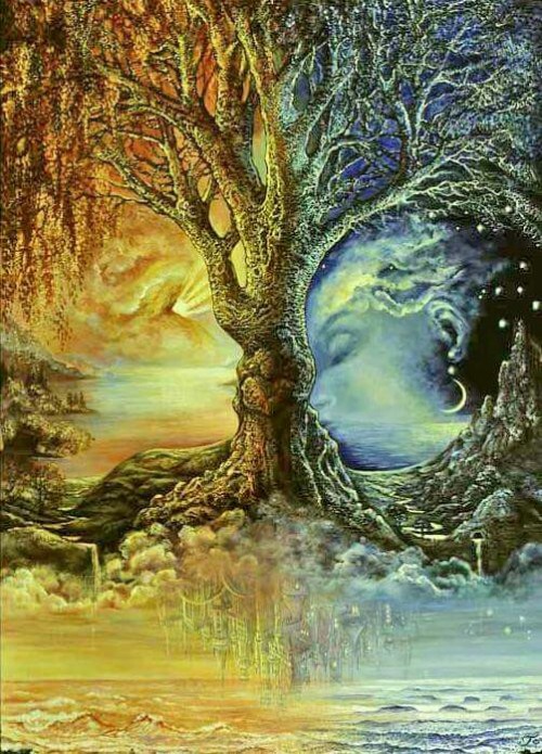 josephine wall