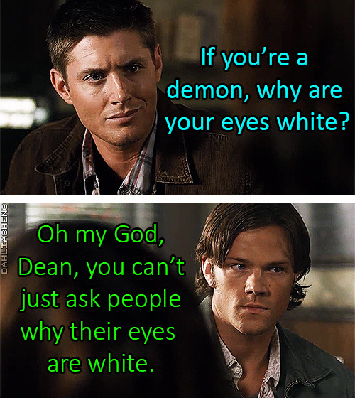 dahliasheng:  Things that totally happened on Supernatural, “Mean Hunters” 