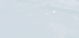 dailytwdcast:                                            ‘