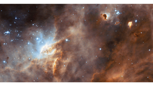  Stardust Clouds of the LMC 