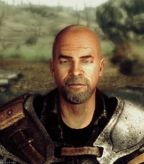 vaultt-tec:Fallout 3 Companions
