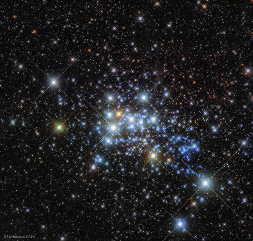 yungcosmonauts:Westerlund 1This is Westerlund 1, one of the largest open clusters of stars in the Mi