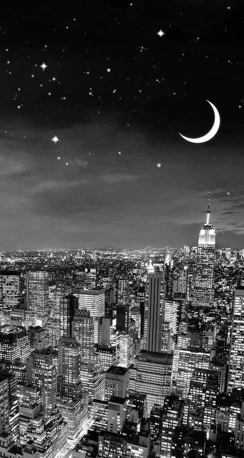 oriondiary:  “Some nights are made for torture, or reflection, or the savoring