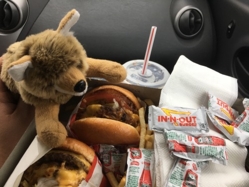 One of the best parts about visiting California as they have in and out and I’ve had it for like four times now Waufy is pleased too.