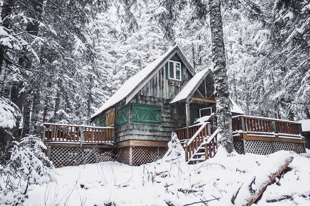 A Winter Sanctuary