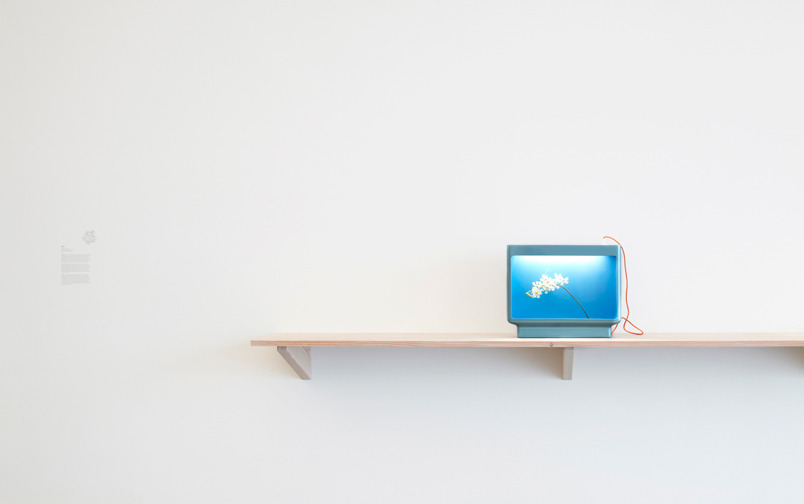 narcissan:  Installation view, Bivouac, 2011-12