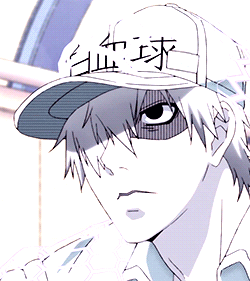 My Blog U 1146 U 1146番 Hataraku Saibou Tv Episode