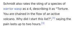 beholdingslut:beholdingslut:this from the guy who wrote the sting pain index, a scale